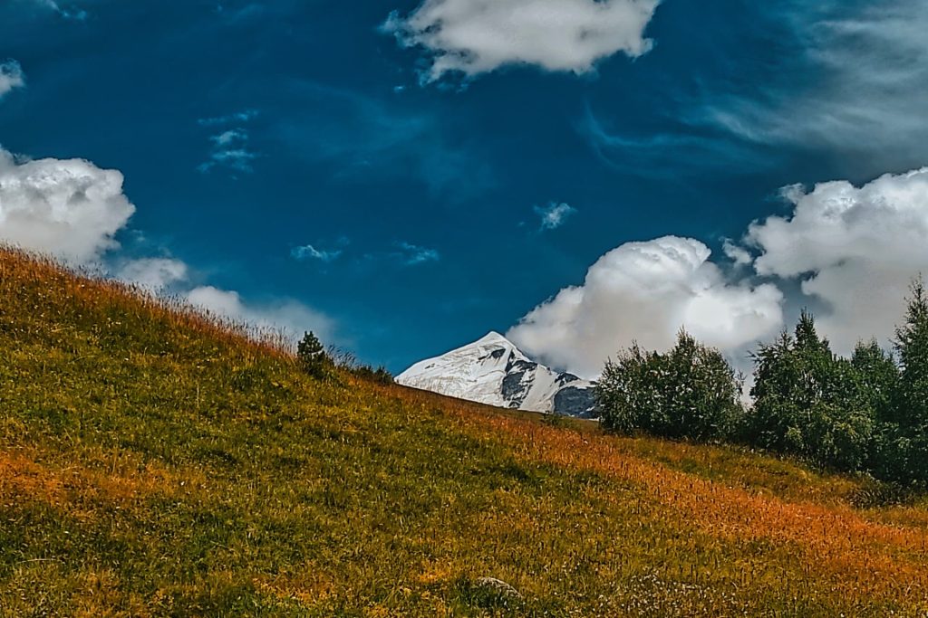 Summer mountain meadows below the Caucasus peaks in Svaneti, Georgia