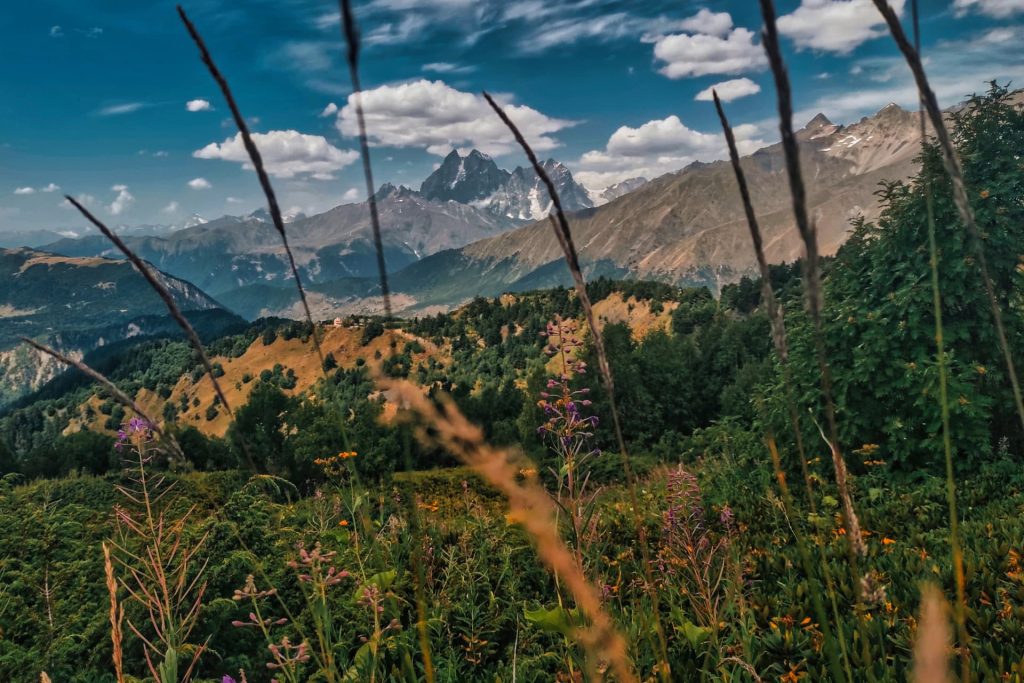 Summer meadow with tall grasses and Caucasus mountain views in Svaneti